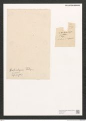 Diatomeae indet. Zeichnungen Sammlung Grunow (NHMW-BOT-W0372477)